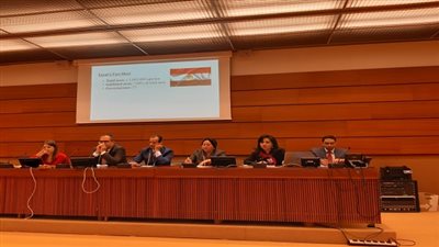 نشطاء يطالبون المجتمع الدولى بالتحرك لادانه الارهاب لتأثيرة البالغ على اوضاع حقوق الانسان فى مصر 