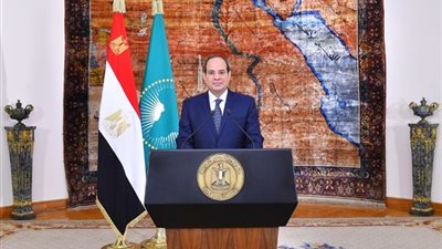 الطائرات الحربية والورود في استقبال السيسي بأبو ظبي