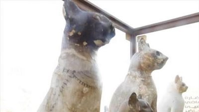 كشف اثري جديد بمنطقة سقارة الأثرية