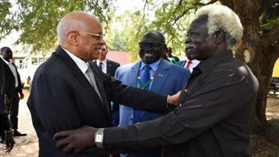 عبد العال: مصالح زراعية مشتركة بين مصر وجنوب السودان