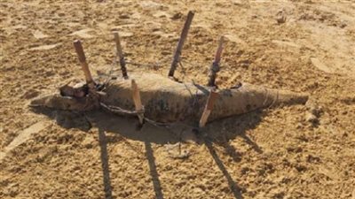 وزير التعليم العالى والبحث العلمى يتلقى تقريرا حول إيجاد دولفين نافق بشاطئ الأدبية بالسويس 