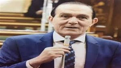 النائب نافع هيكل: مشروع قانون الإدارة المحلية يتضمن عوائق دستورية