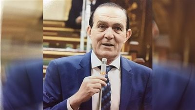 برلماني: أردوغان يحاول العبث بالأمن والسلم فى دول شمال أفريقيا