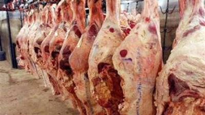 الزراعة: عقوبات رادعة لمن يخالف شروط الذبح في المجازر..فيديو