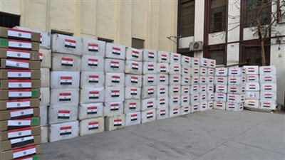 الصحة: 10 أطنان من المستلزمات الوقائية.. هدية مصر للشعب الصينى