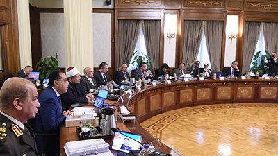 الحكومة توافق على إجازة الصيادلة وأطباء الأسنان للعمل بالخارج دون اشتراطات