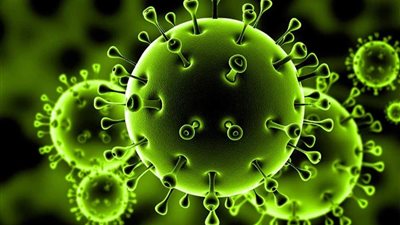 أول رد فعل للحكومة بشأن تصريحات مسئولى أونتاريو حول كورونا