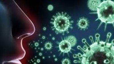 إيران تعلن ارتفاع عدد الوفيات بفيروس كورونا لـ 66