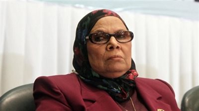 النائبة آمنة نصير : غياب المودة والرحمة سبب زيادة معدلات الطلاق 