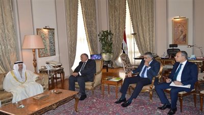 سامح شكرى يلتقي نظيره وزير خارجية الإمارات 