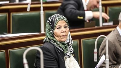 النائبة شادية خضير تحذر من الانسياق وراء شائعات انتشار كورونا في مصر: 