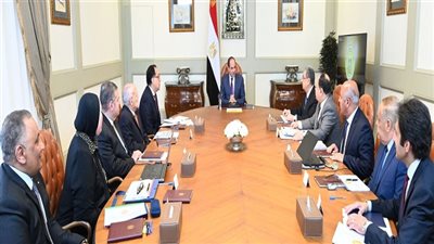 الرئيس السيسي يستعرض استراتيجية توطين صناعة المركبات والصناعات المغذية لها في مصر