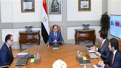 الرئيس السيسي يجتمع مع رئيس الوزراء ووزير التعليم العالي والبحث العلمي