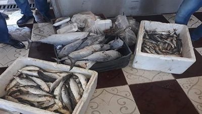 ضبط وإعدام طن أغذية مختلفة غير صالحة للإستهلاك الآدمي بمدن دهب وطور سيناء  