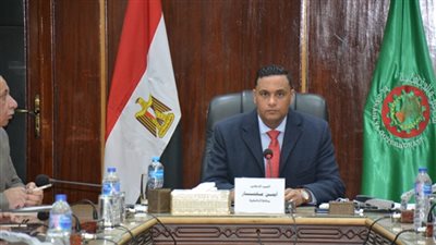 عاجل.. محافظ الدقهلية: حظر حركة المواطنين على كافة الطرق العامة ونطاق المحافظه