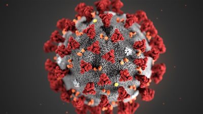 الصحة العالمية: مصر لديها فرص ذهبية للقضاء على كورونا حال الالتزام بالإجراءات