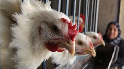 في رمضان.. مفاجأة تنتظر المصريين