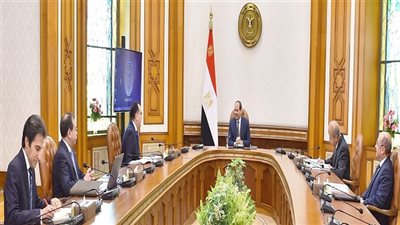 الرئيس السيسي يتناول استعراض موقف سوق النفط العالمي