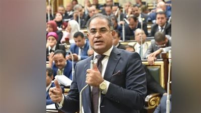 وكيل النواب يستنكر دعوة نزع الهوية المصرية عن سيناء