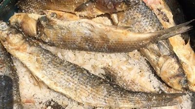  شرطة التموين تضبط 1.250 طن فسيخ فاسد بعابدين