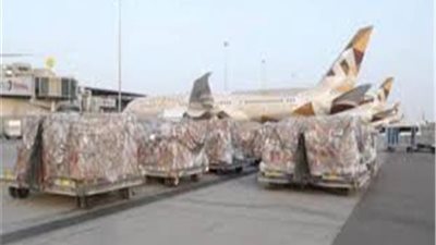 الإمارات ترسل مساعدات طبية لسيراليون والنيجر 