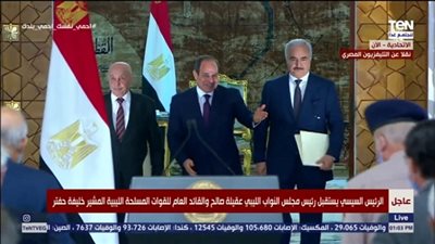 راضي: لقاء الرئيس بالقادة الليبين يؤكد حرص مصر على تحقيق الاستقرار الامني والسياسي