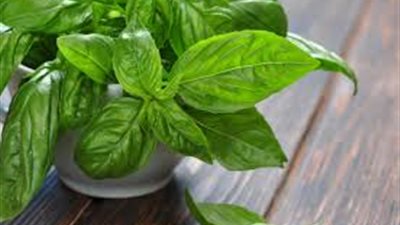 جربها الآن.. طريقة سهلة لـ