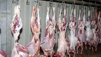 إعدام 358 كيلو جرام لحوم و250 كليو طحينة فاسدة بالغربية