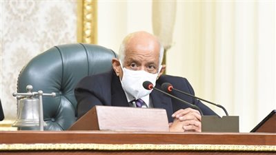 رئيس النواب: الفلاح سقط سهوا من حسابات الحكومة