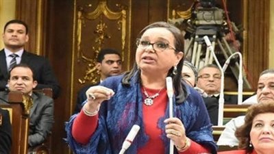 برلمانية: إحالة مصر قضية سد النهضة لمجلس الأمن يعكس حرصها علي الدفاع عن حقوقها المائية 