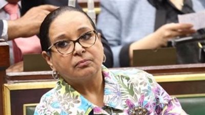 برلمانية: إحالة مصر قضية سد النهضة لمجلس الأمن يعكس حرصها على الدفاع عن حقوقها