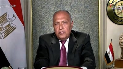 برلمانية: كلمة سامح شكري أمام مجلس الأمن قوية وحاسمة 