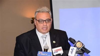 قيادى بالغد: القيادة السياسية لعبت دوراً كبيراً لإرساء قيم الديمقراطية والمواطنة