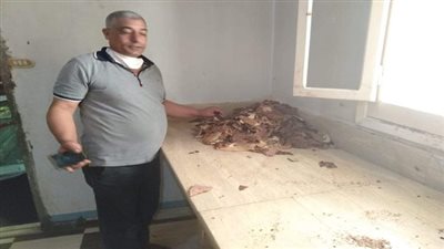 صحة الدقهلية.. إعدام 2000 كيلو من المواد الغذائية الغير صالحة للأستهلاك الآدمي 