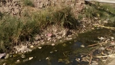 لحماية الأراضي الزراعية.. طلب هام من أهالي المنوفية