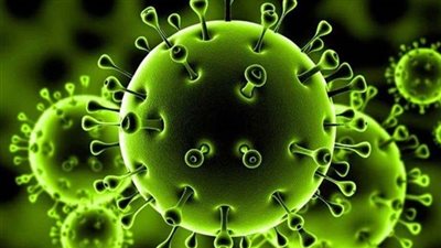 كورونا.. دراسات تكشف مفاجآت عن انتقال الفيروس ومناعة المتعافين