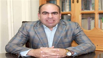 الهضيبي: مصر قادرة على التصدي لأي تهديدات تمس أمنها القومي