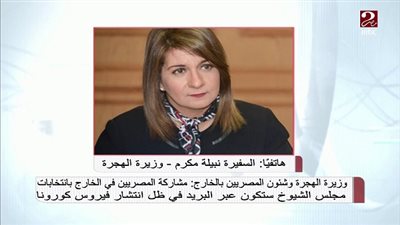 وزارة الهجرة تشرح خطوات مشاركة المصريين بالخارج في انتخابات الشيوخ