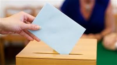 بالتفاصيل الكاملة.. كيف أقوم بالتصويت في انتخابات مجلس الشيوخ 2020