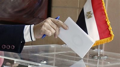 إستعدادات لجان المصريين بالخارج لإنتخابات مجلس الشيوخ