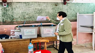 فاروق حسني يدلي بصوته في انتخابات مجلس الشيوخ 