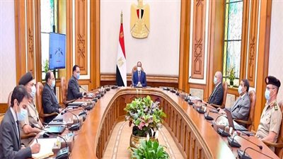 الرئيس السيسي يوجه بأهمية تدريب الكوادر الحكومية عند انتقال الحكومة للعاصمة الإدارية الجديدة