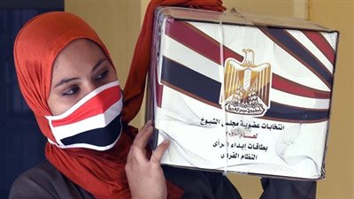 الأعلى للإعلام يكشف موعد نتيجة انتخابات مجلس الشيوخ