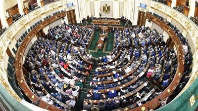 مجلس النواب يوافق نهائيا على قانون رعاية المريض النفسى