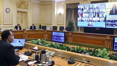 الحكومة تخصص 250 مليون جنيه بميزانية 2021 لدعم مبادرة 