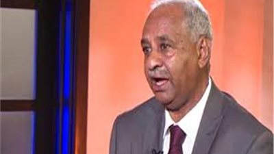 وزير الإعلام السودانى يؤكد إرسال مصر أضعاف احتياجات البلاد من مساعدات