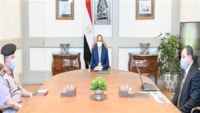 السيسي يوجه بتطوير قطاع النقل البحرى لتحقيق أقصى عائد اقتصادى وتجارى لمصر