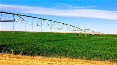 الحكومة تخصص أراضى بأسوان والوادى الجديد لاستخدامها للاستصلاح