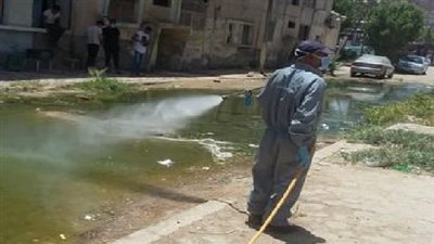 إستمرار حملات مكافحة البعوض بأحياء السويس