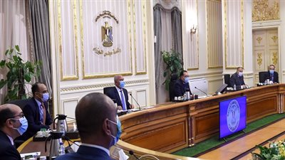 الرئيس يوافق على إنشاء كبارى على المجارى المائية بديلة للمعديات فى القرى